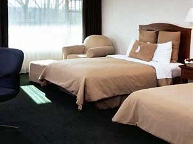 Fiesta Inn San Luis Potosi Glorieta Juarez Exteriör bild